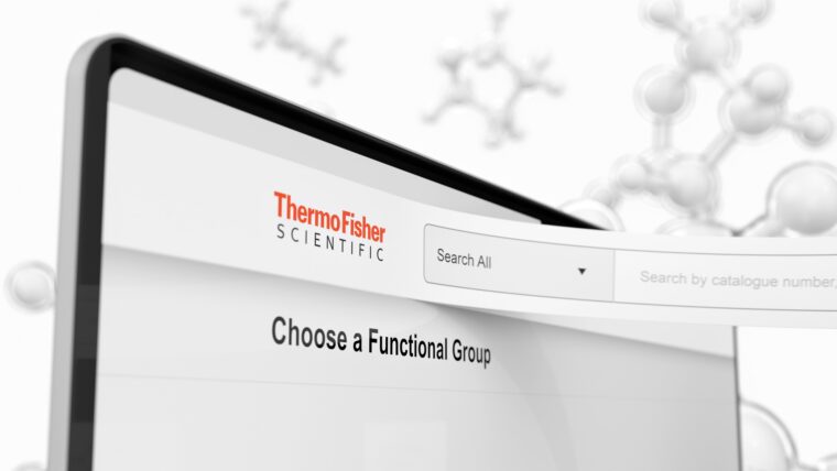 ChemDex - Interface detail